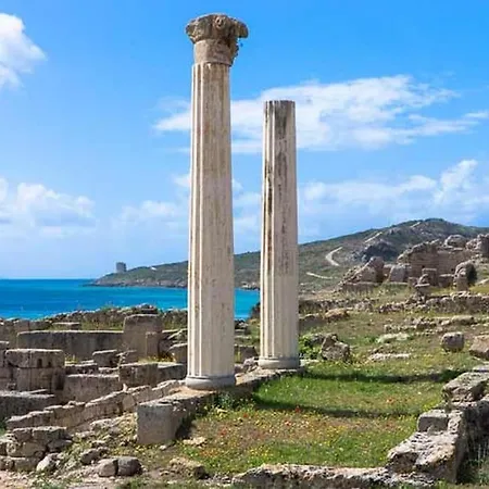 Panoramic View