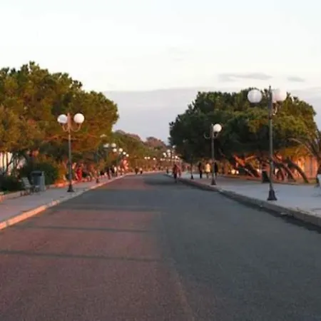 Panoramic View *
